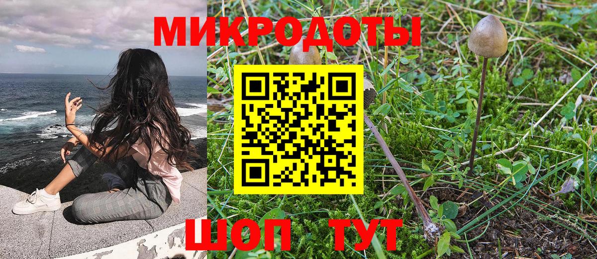 Псилоцибиновые грибы Cubensis  Галлюциногенные грибы ЛСД  Черногорск  Вход с VPN 